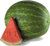 Melon